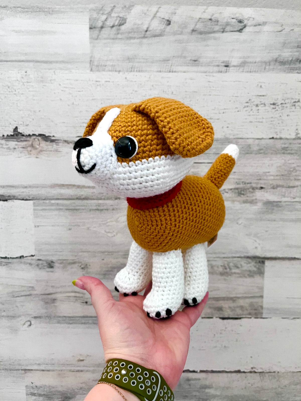 Puppy Dog