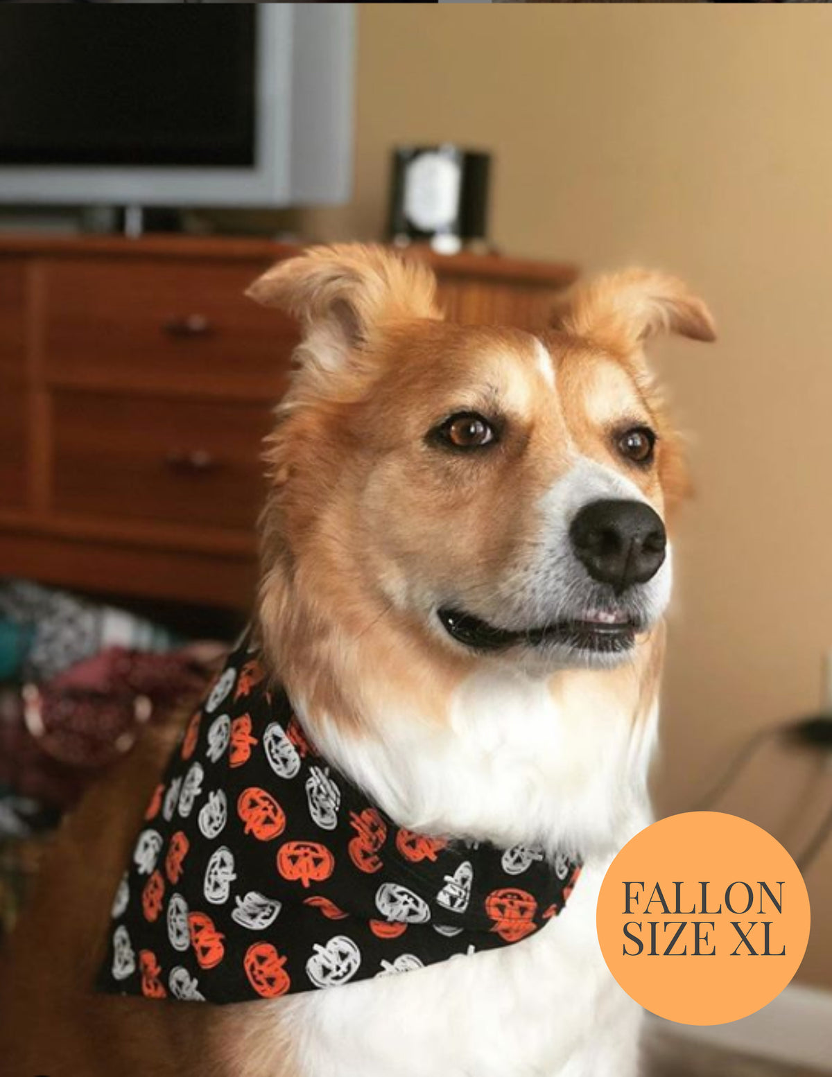 Gryffindor House - Slip On Pet Bandana