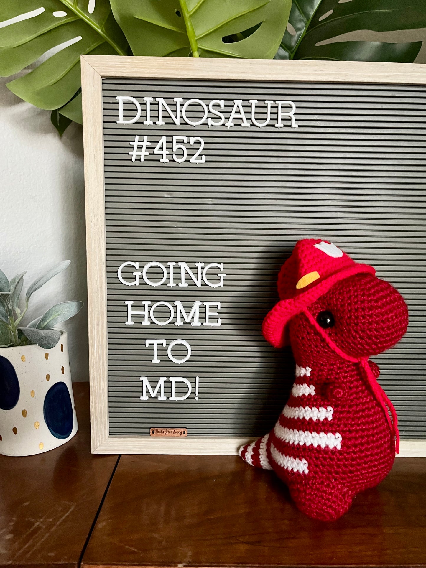 Varsity Red with White Stripes - Chubby Dinosaur