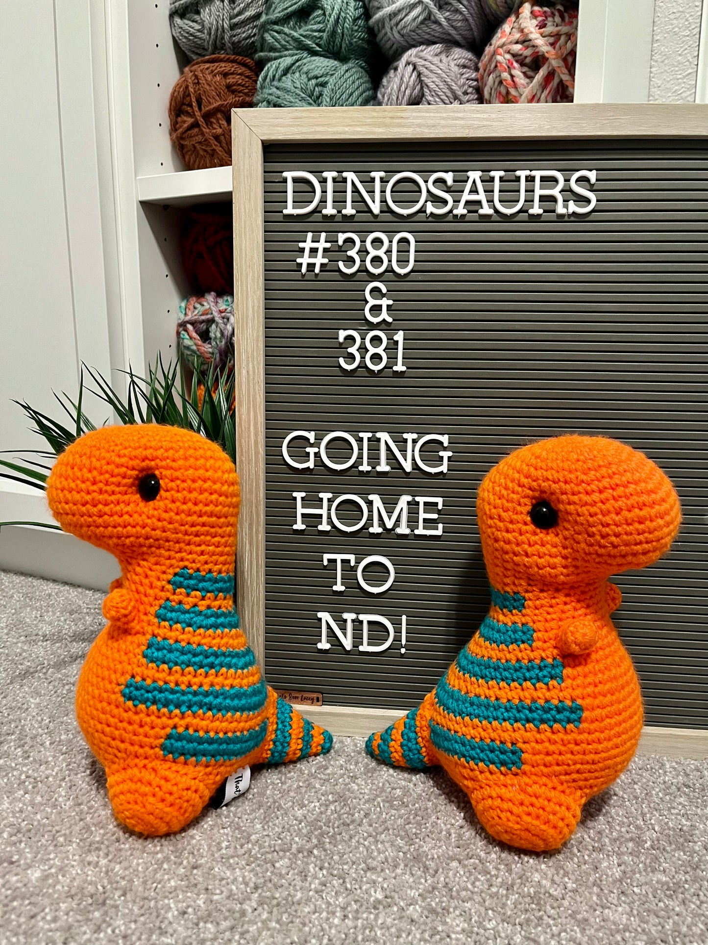 Orange & Teal - Chubby Dinosaur