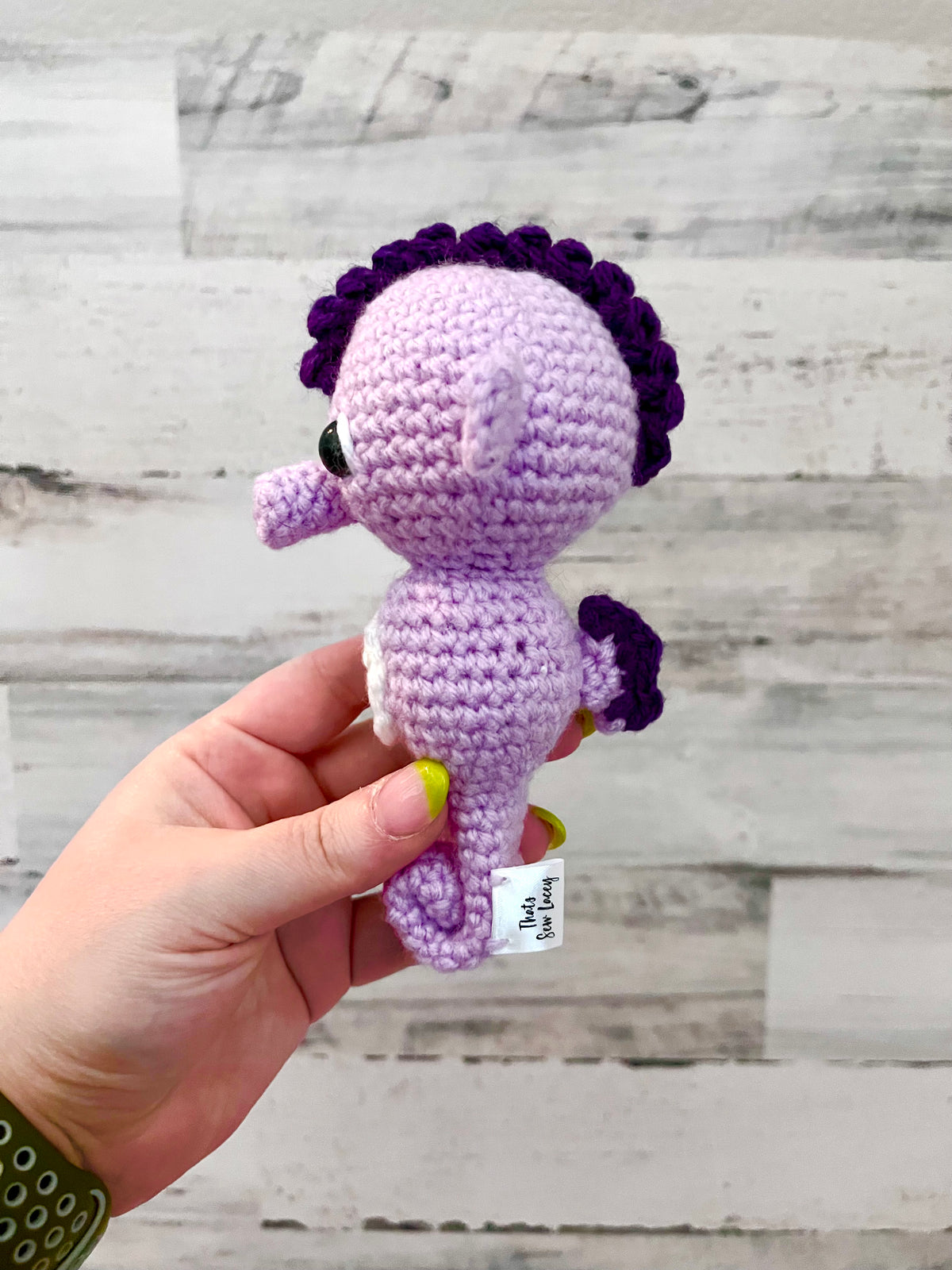 Tiny Seahorse