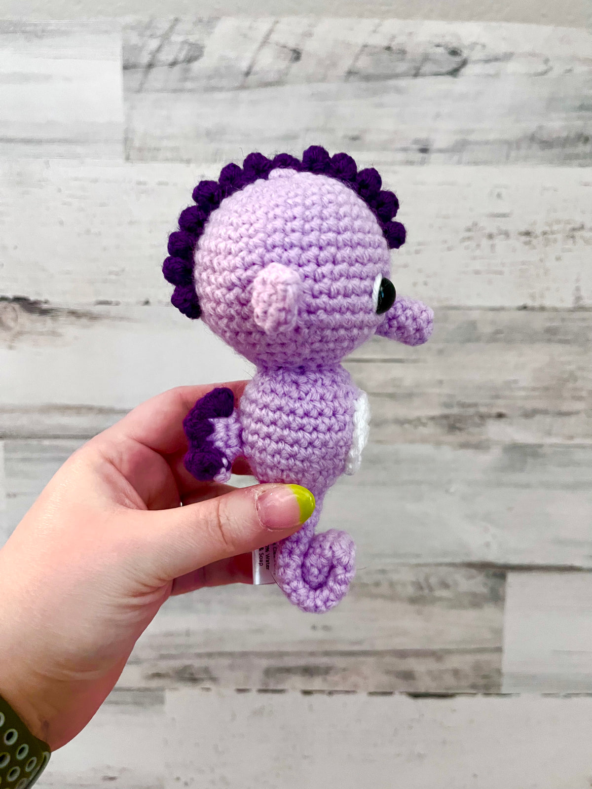 Tiny Seahorse