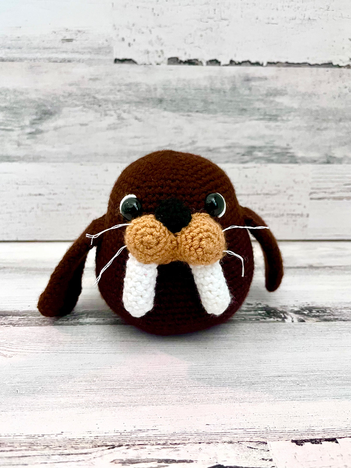 Walrus