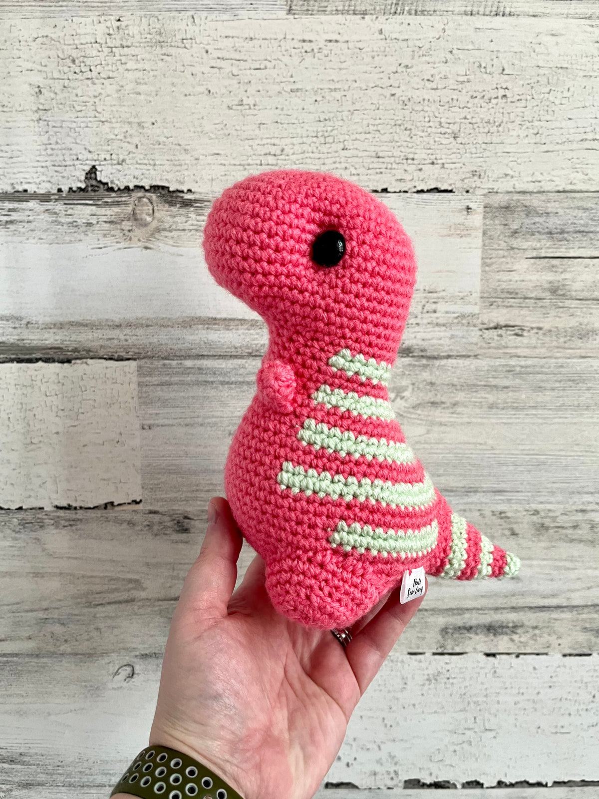 Mint & Tropical Pink - Chubby Dinosaur