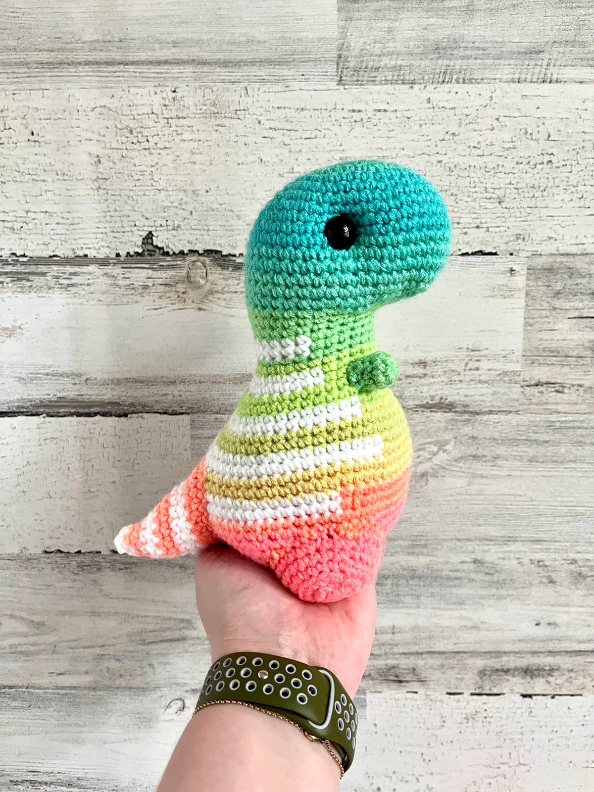 Pastel Ombré- Chubby Dinosaur