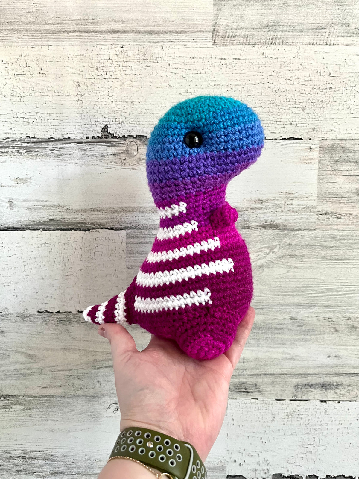 Polo Ombré - Chubby Dinosaur