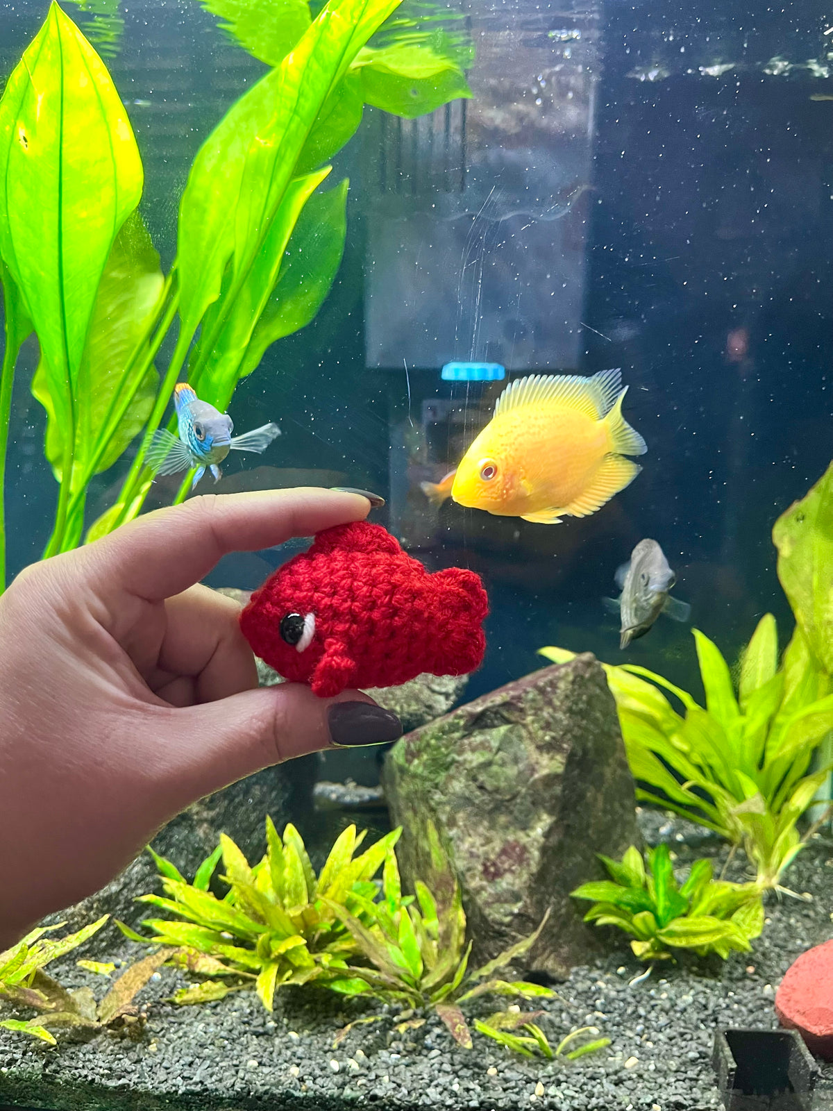 Mini Fish - Keychain