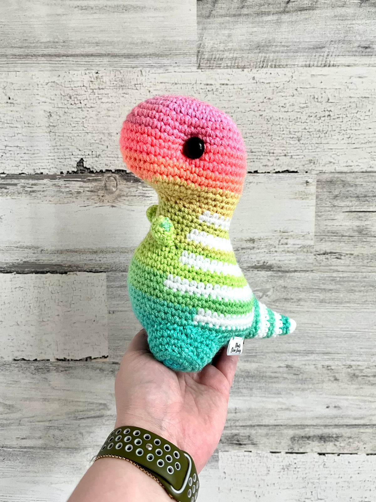 Pastel Ombré- Chubby Dinosaur