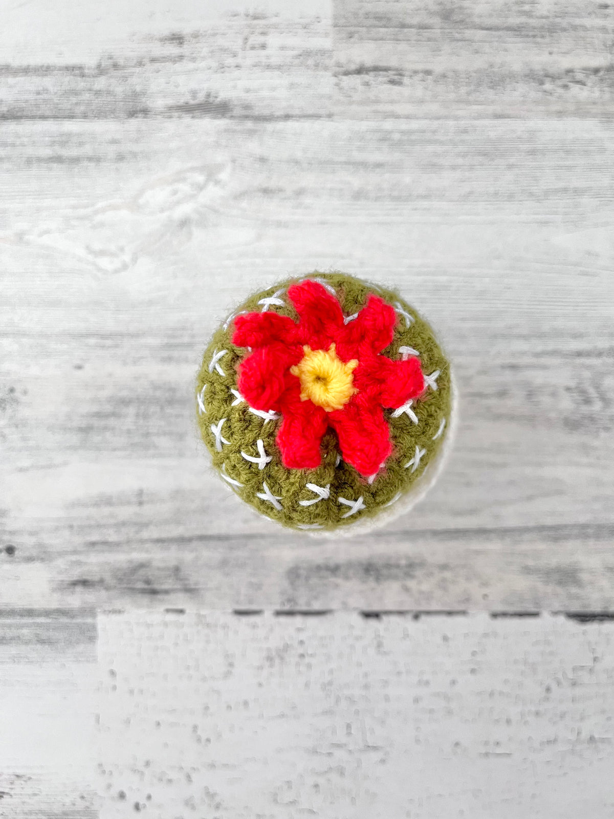 Ball Cactus