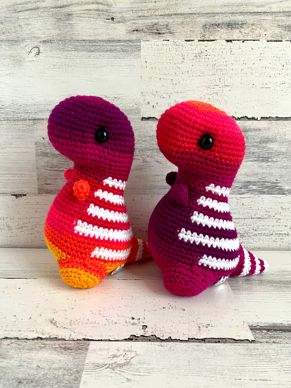Sunset Ombré - Chubby Dinosaur