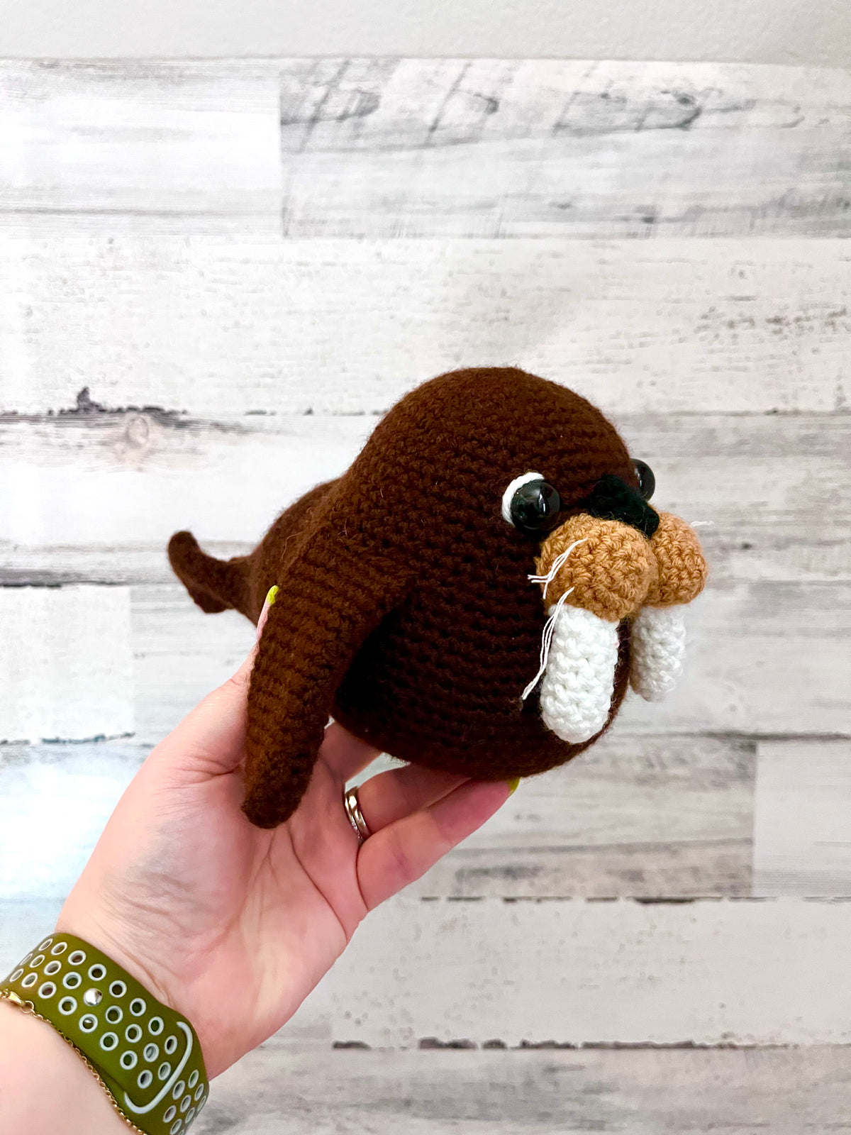 Walrus