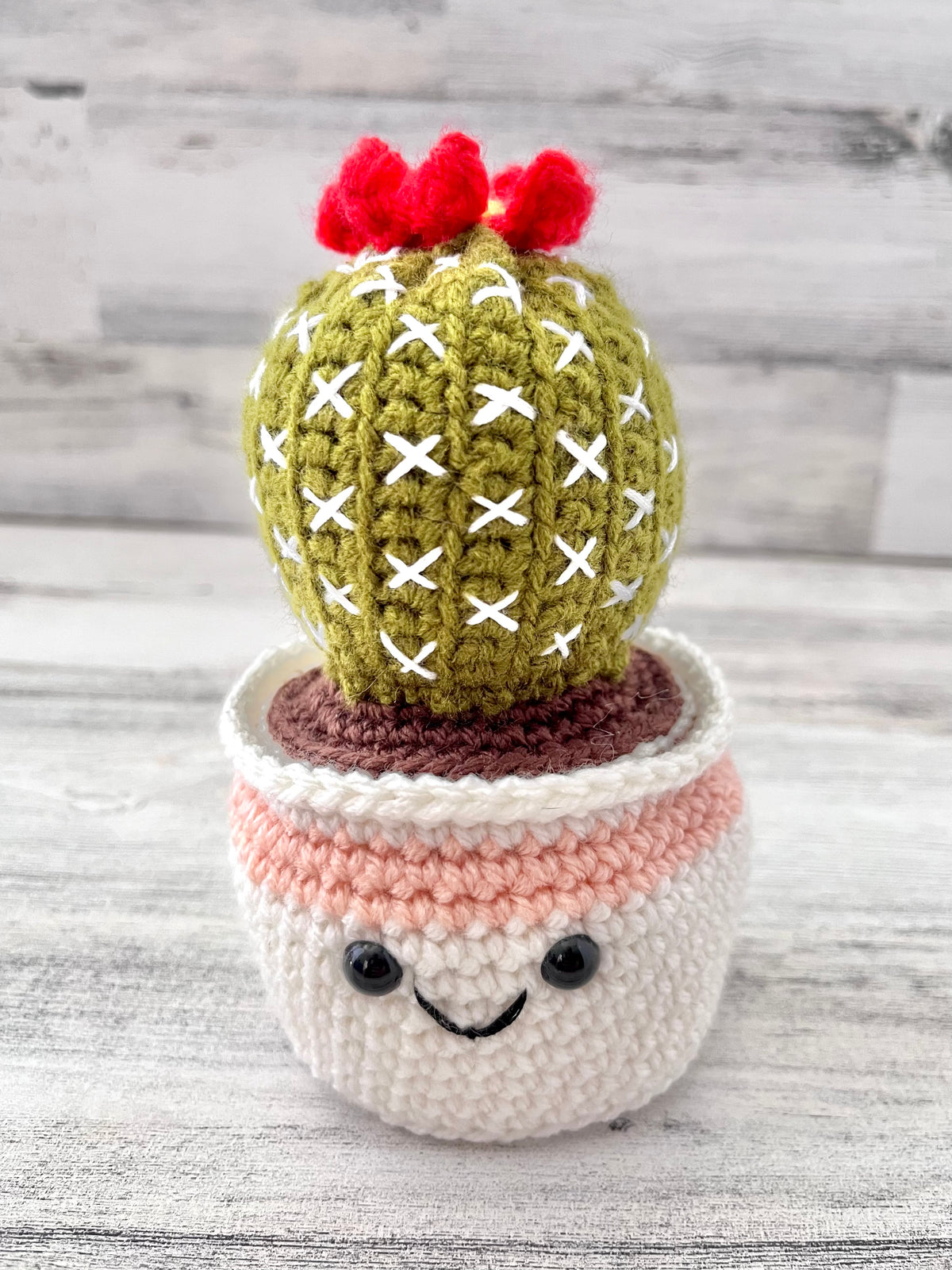 Ball Cactus