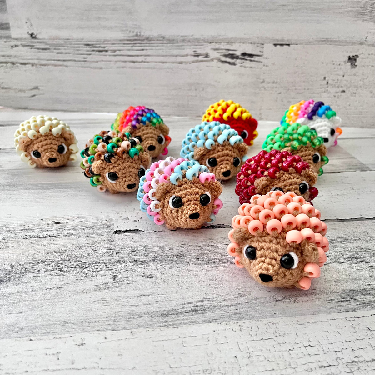 Fidget Hedgehog