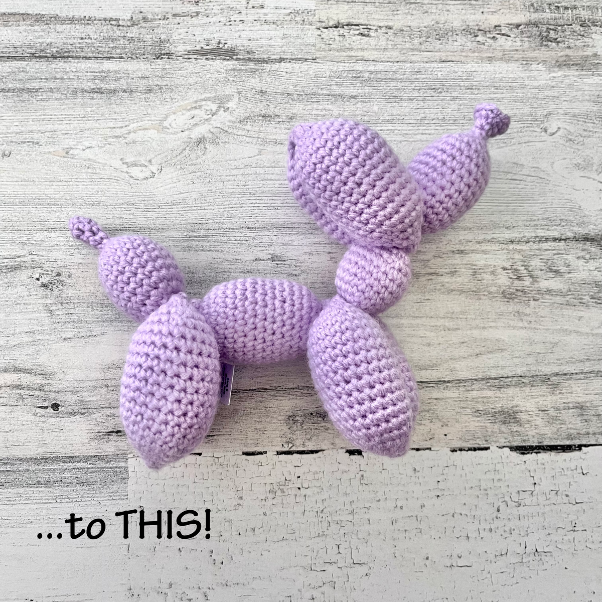 Balloon Dog