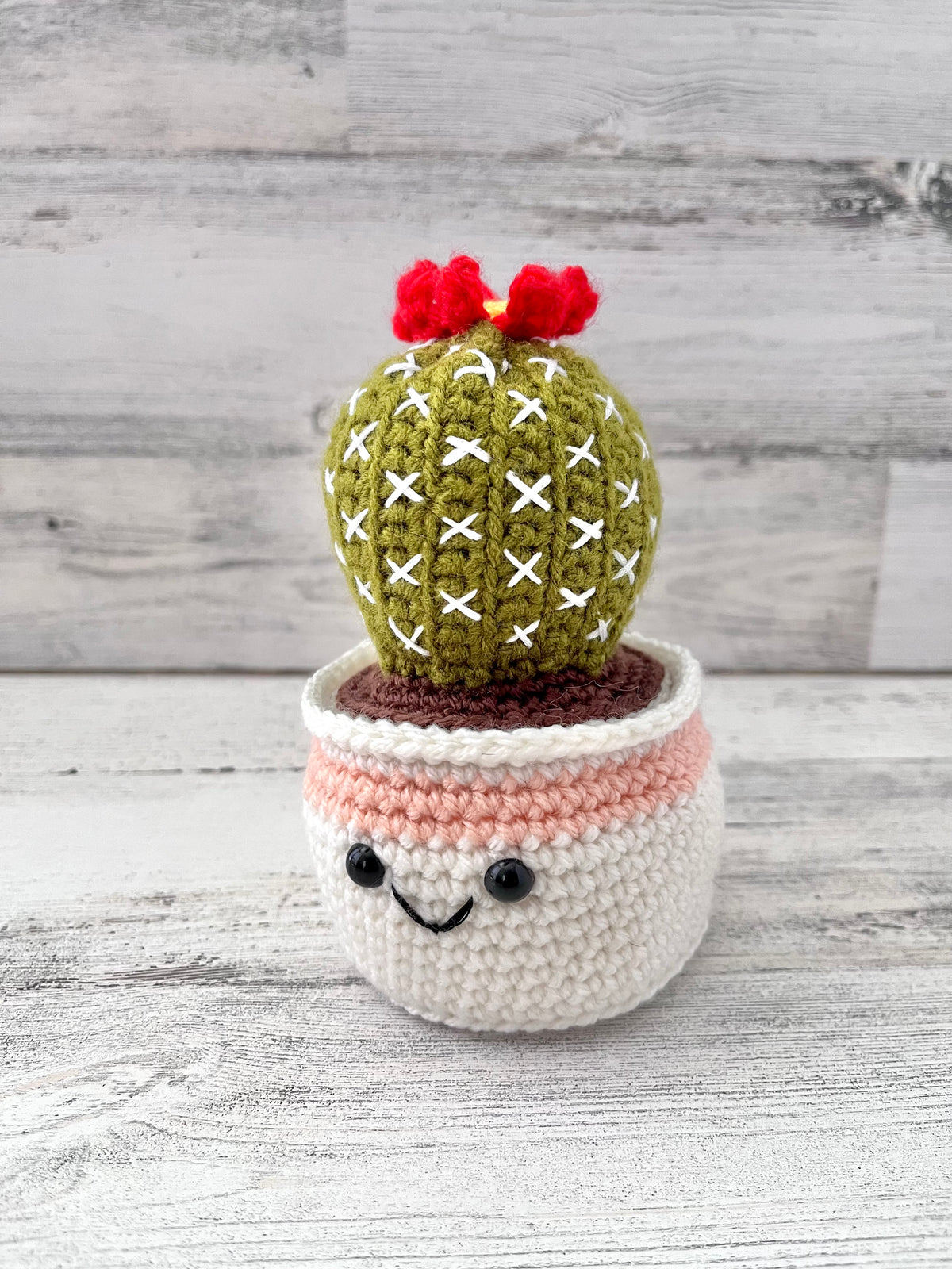 Ball Cactus
