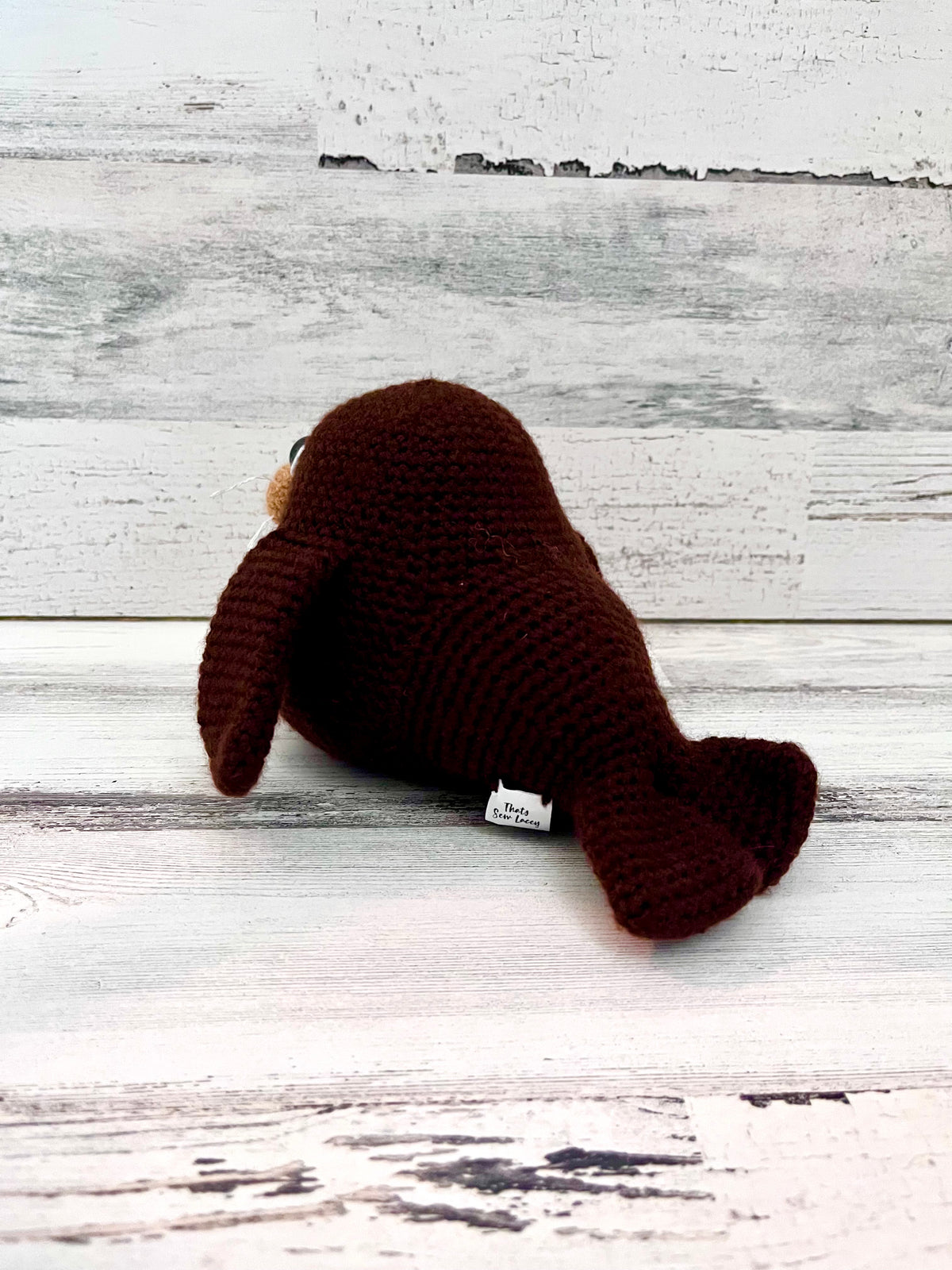 Walrus