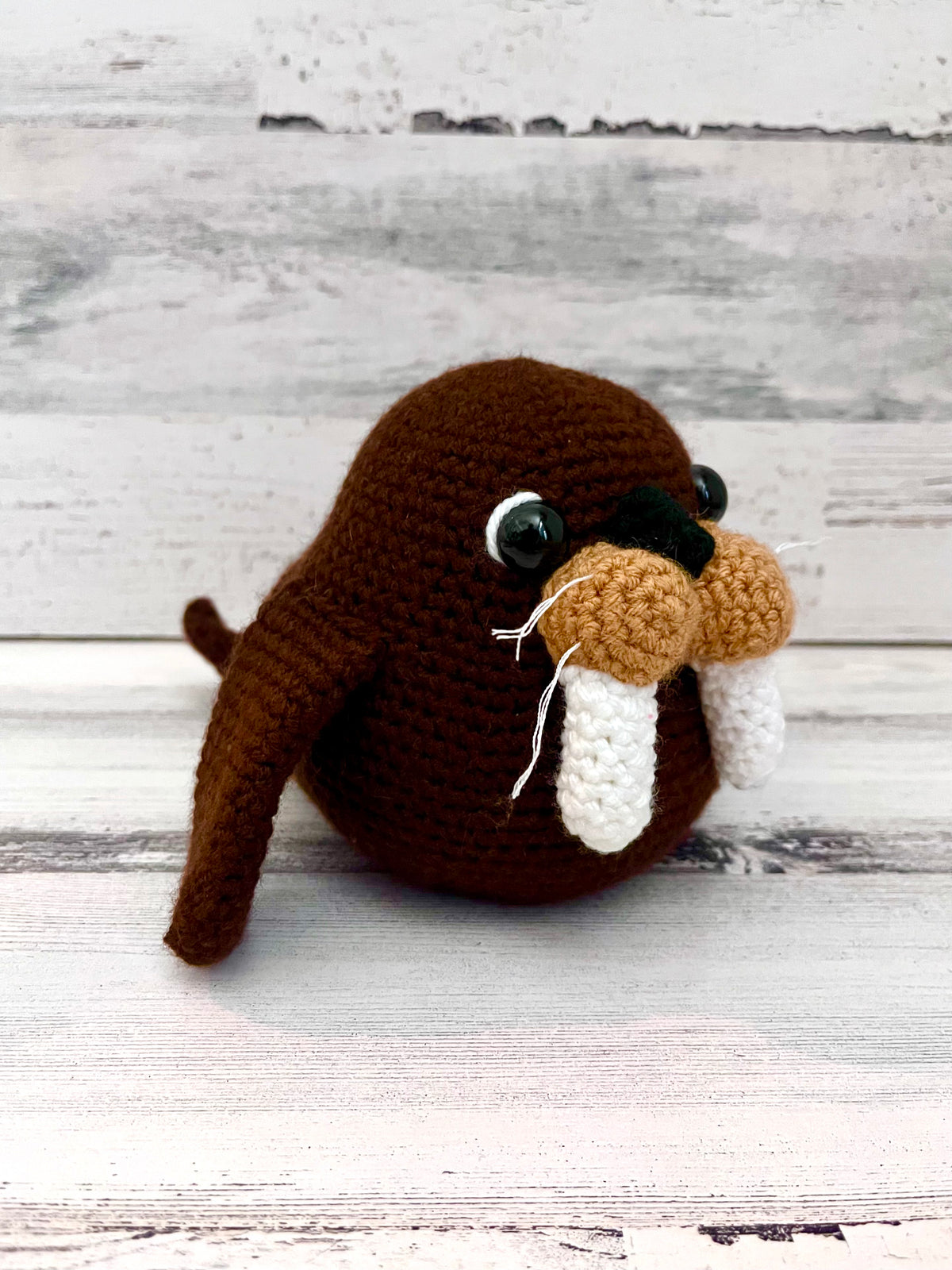Walrus