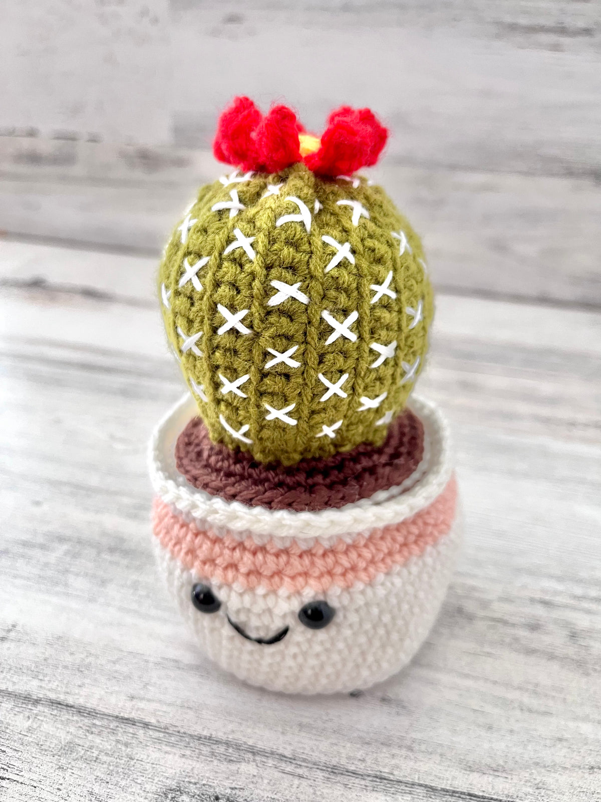 Ball Cactus