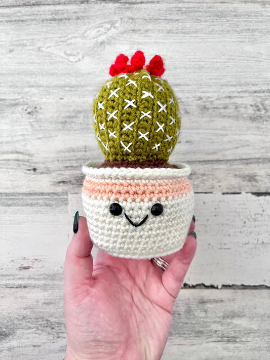 Ball Cactus