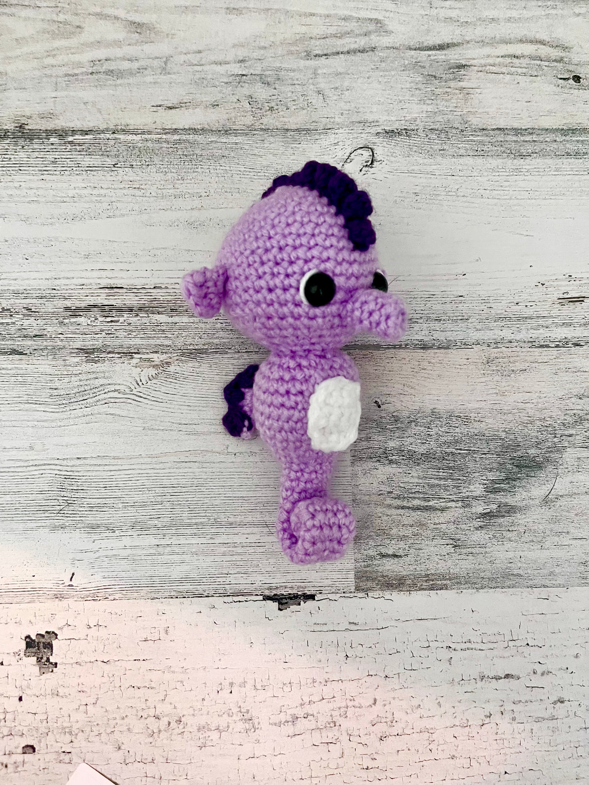 Tiny Seahorse
