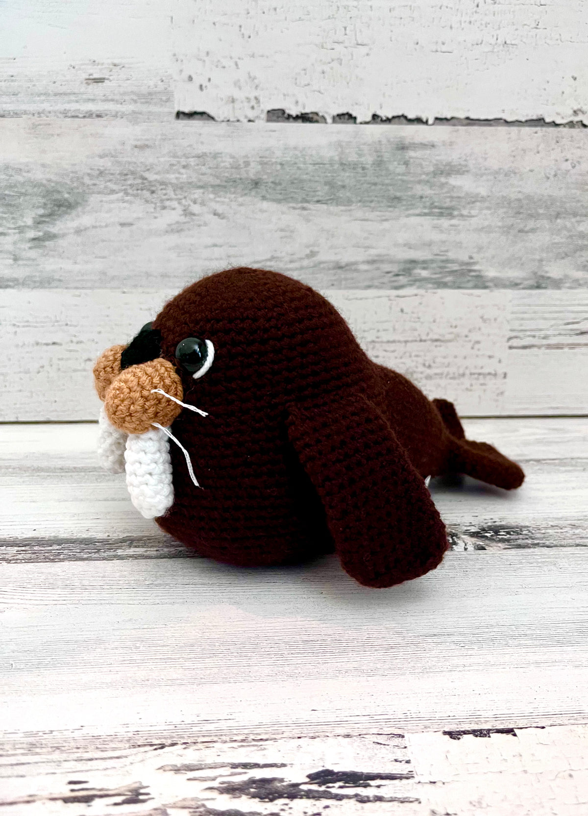 Walrus
