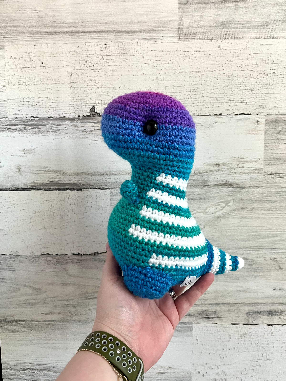 Polo Ombré - Chubby Dinosaur