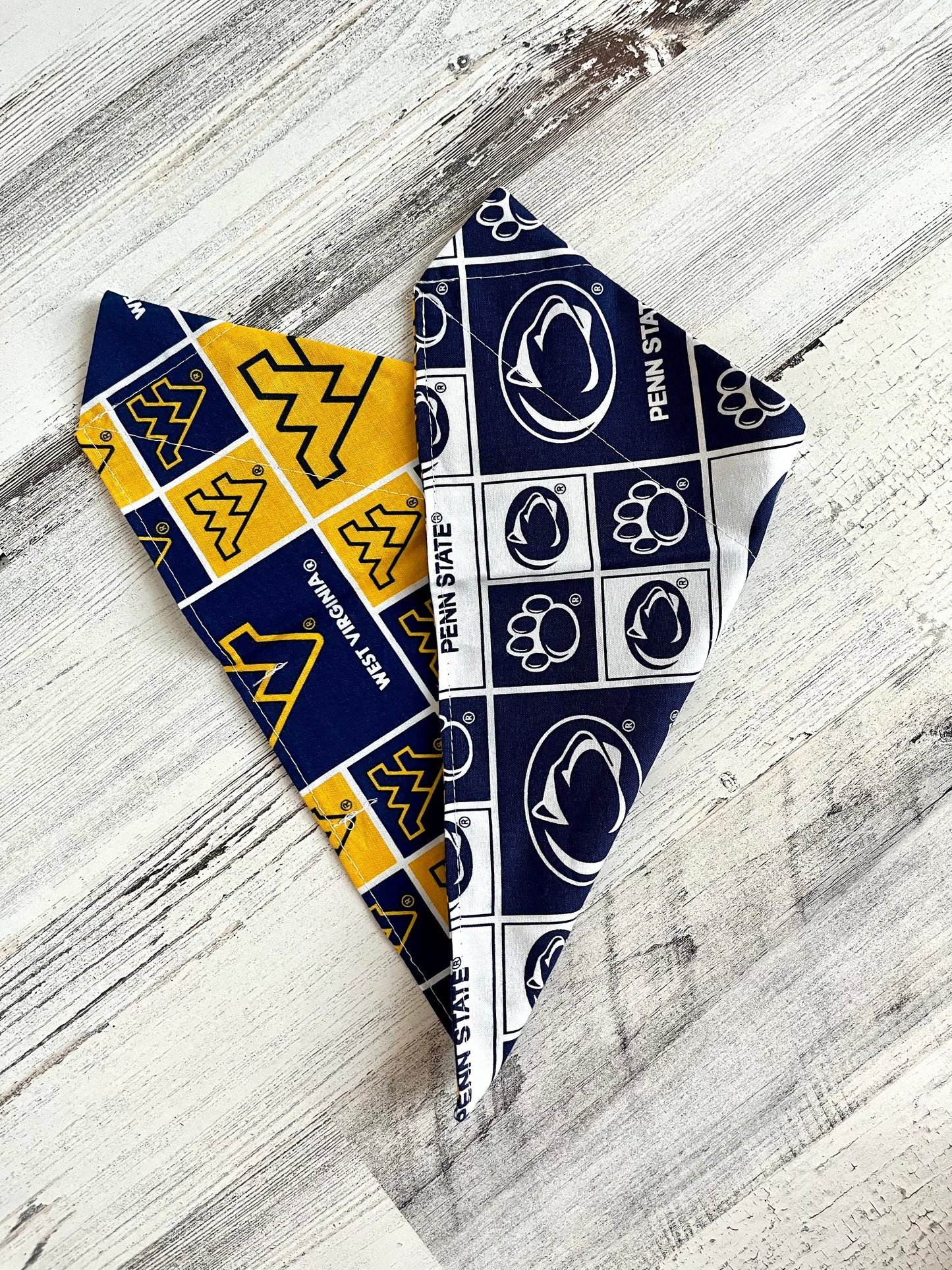 Penn State / West Virginia House Divided - Slip On Pet Bandana