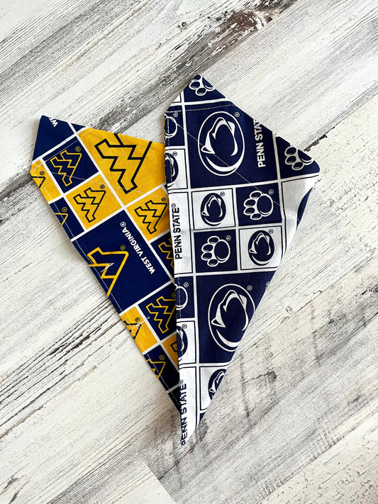 Penn State / West Virginia House Divided - Slip On Pet Bandana