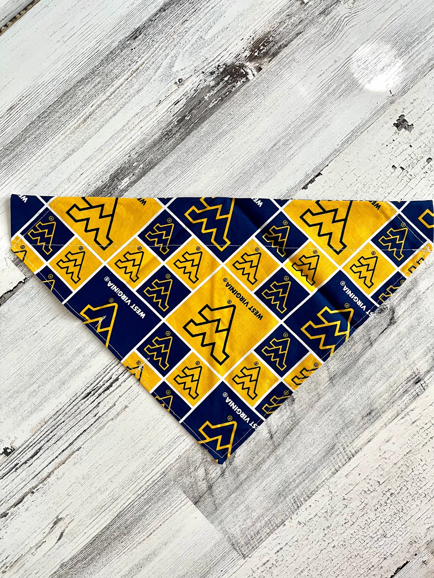 Penn State / West Virginia House Divided - Slip On Pet Bandana