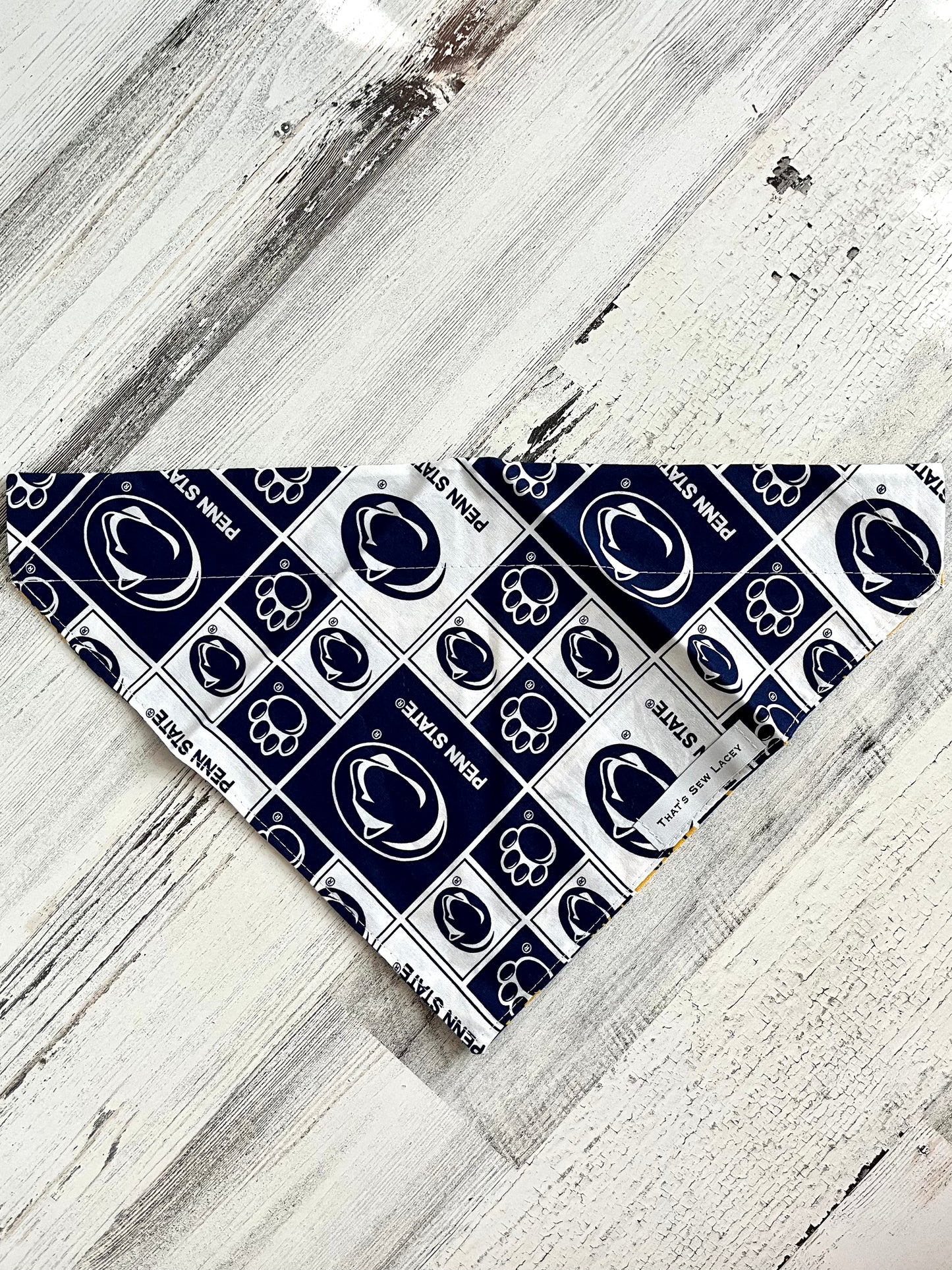 Penn State / West Virginia House Divided - Slip On Pet Bandana