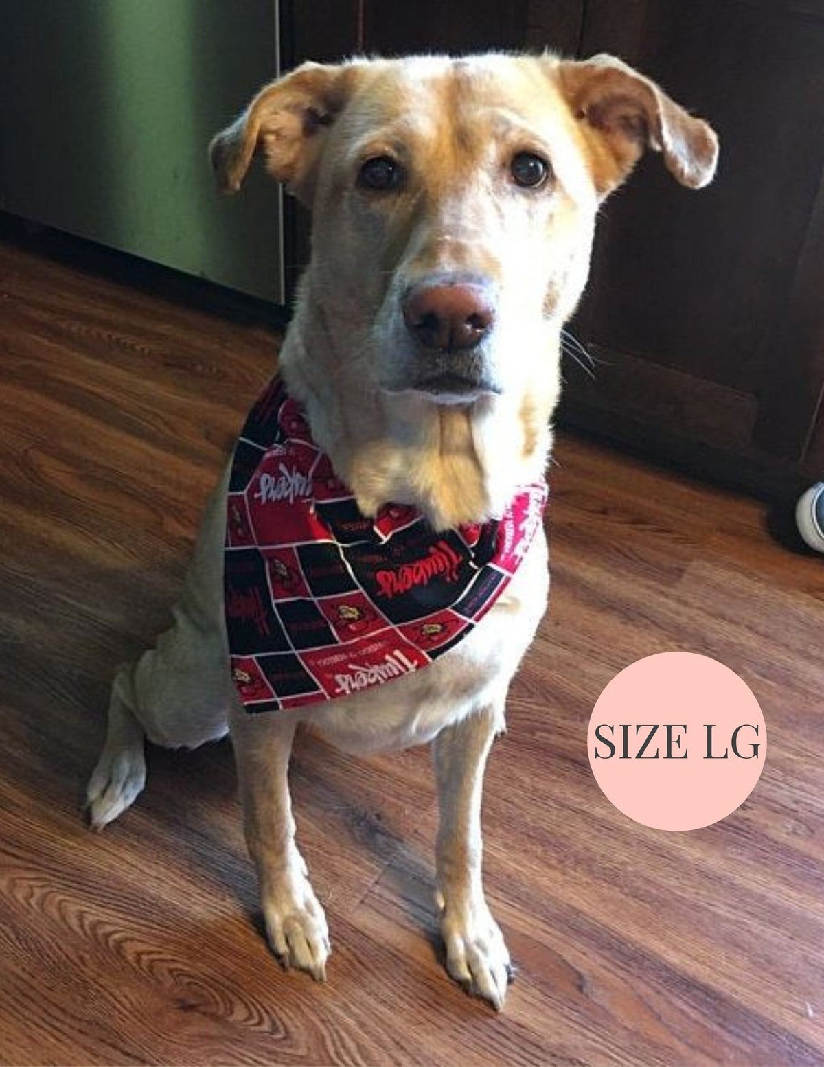 Houston Texans - Slip On Pet Bandana