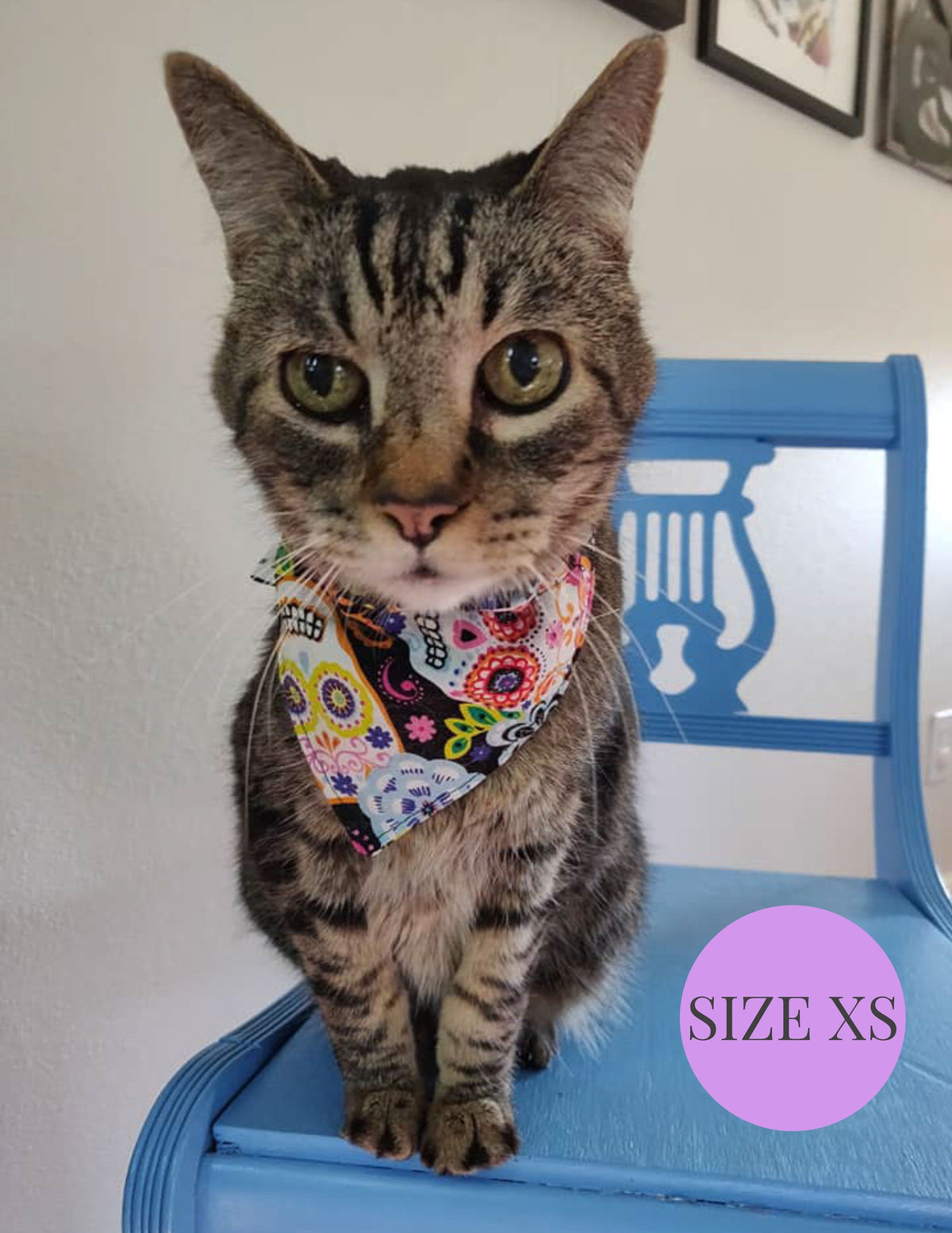 Boston Red Sox - Slip On Pet Bandana