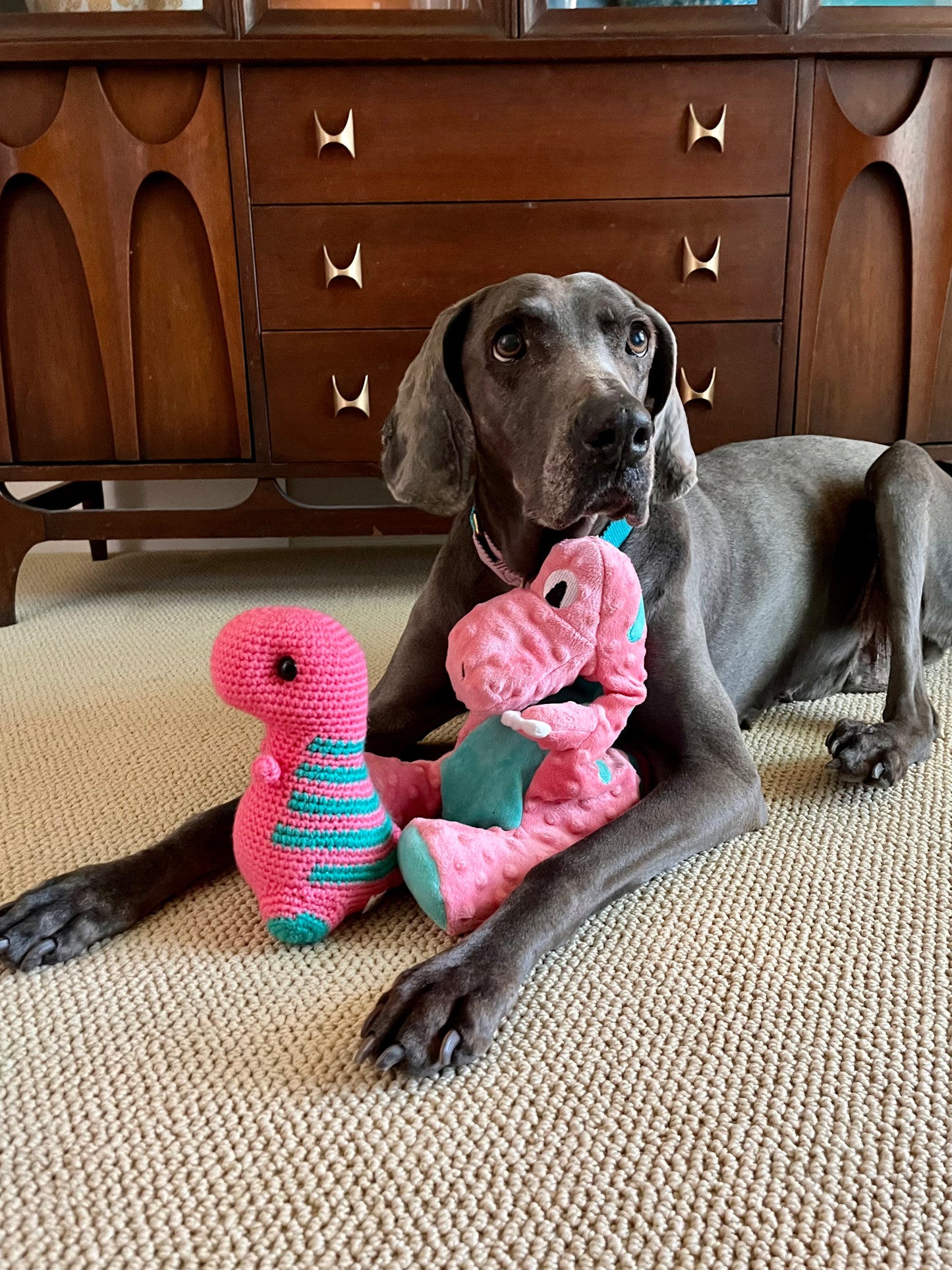 Indy’s Dino - Tropical Pink with Teal Stripes - Chubby Dinosaur