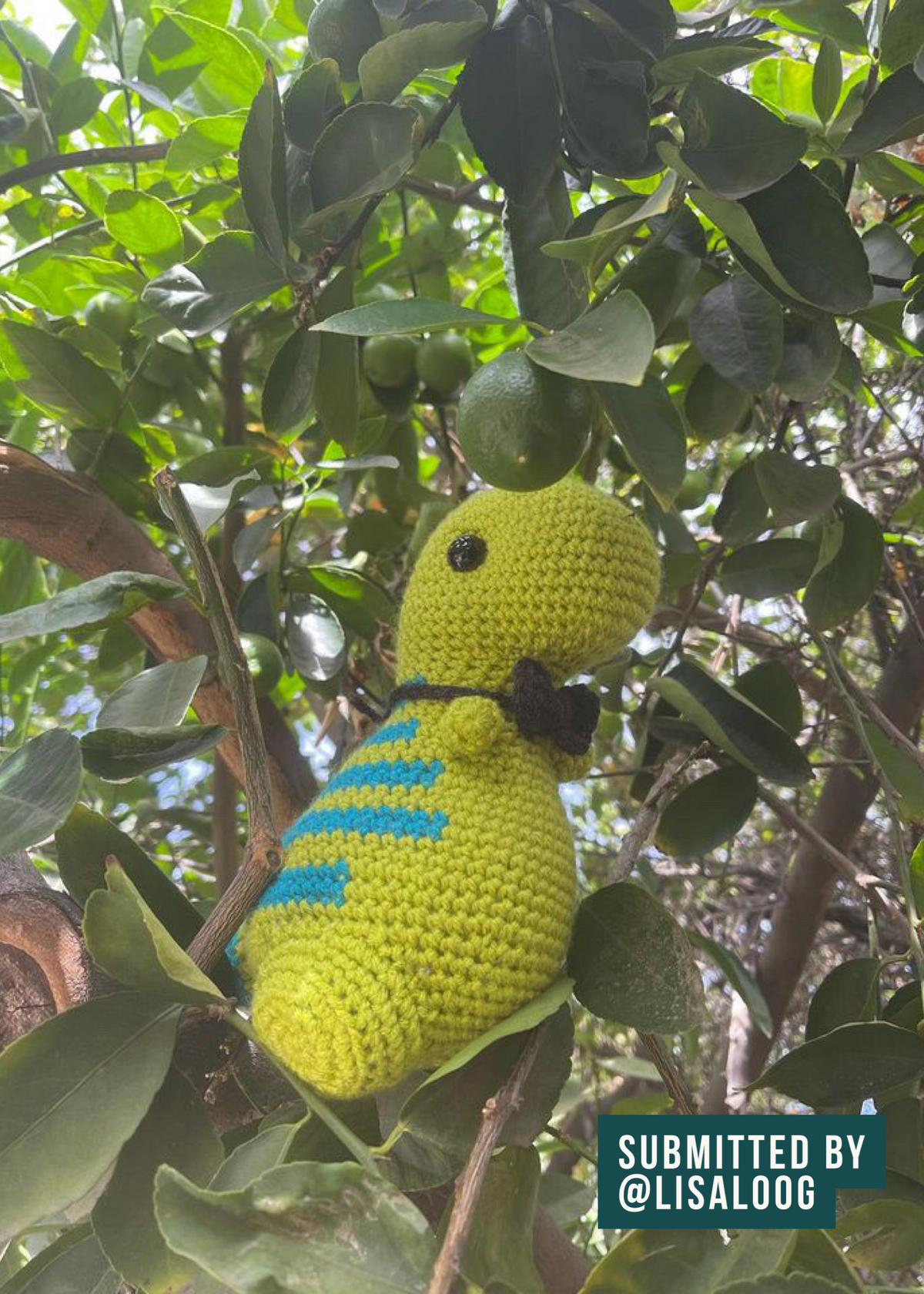 Green with Blue Stripes (Snacks) - Chubby Dinosaur