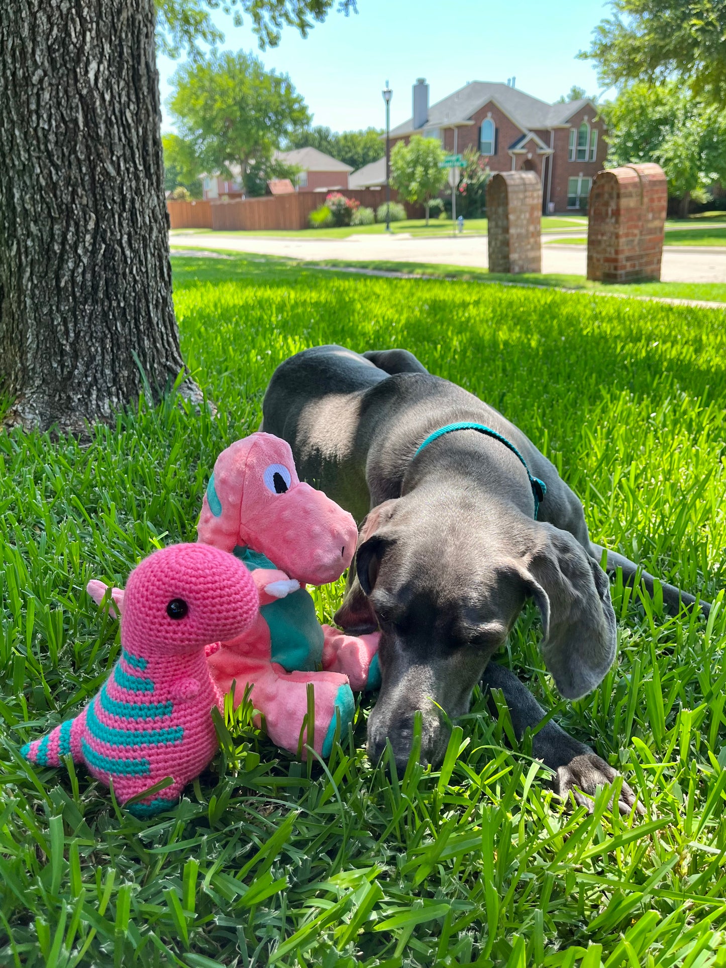 Indy’s Dino - Tropical Pink with Teal Stripes - Chubby Dinosaur