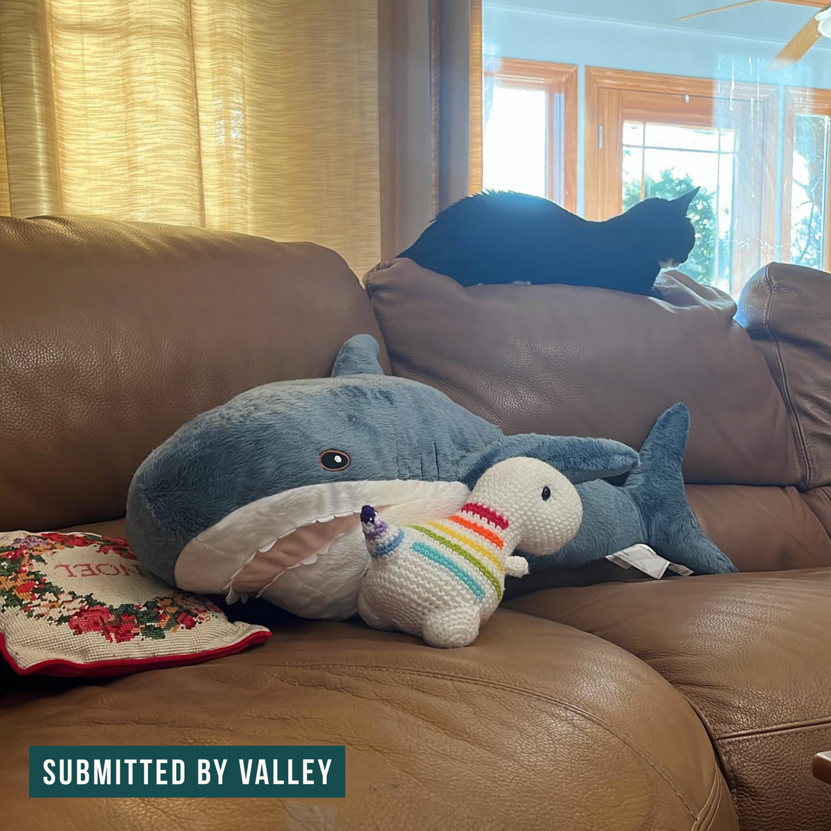 Rainbow Stripes - Chubby Dinosaur