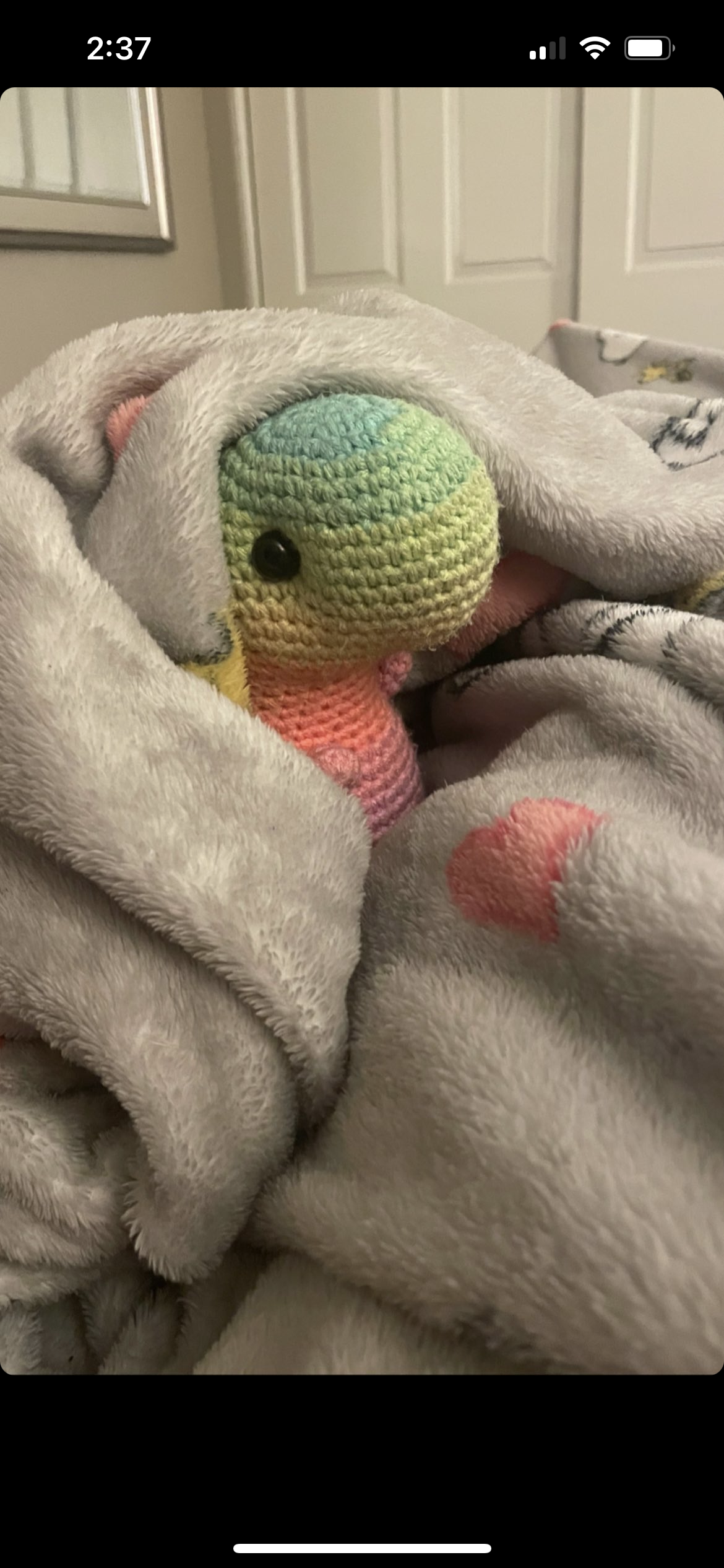 Pastel Ombré- Chubby Dinosaur