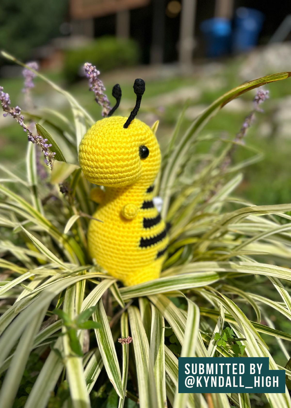 Sting the Bumblebee - Chubby Dinosaur