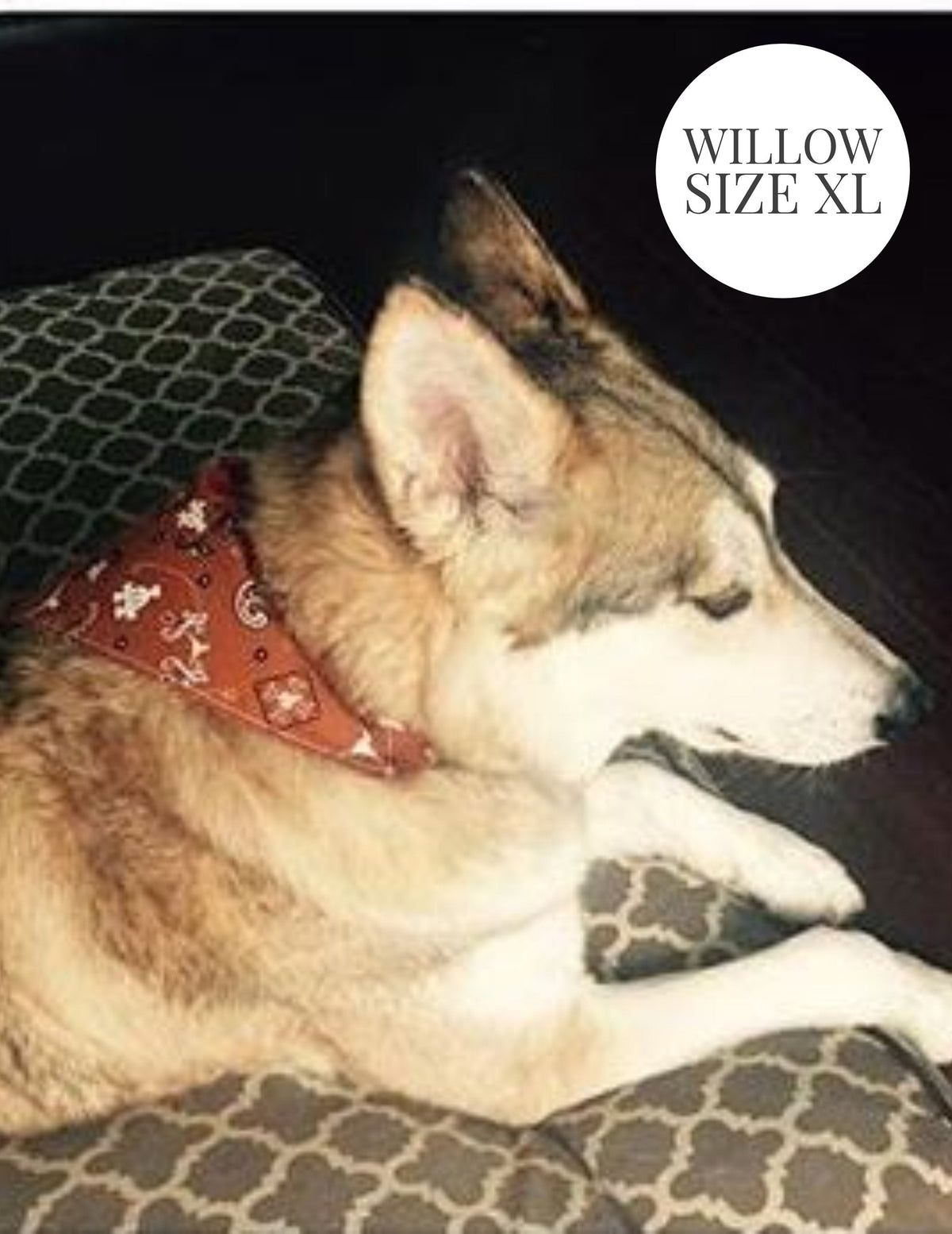 Modern Camouflage - Slip On Pet Bandana