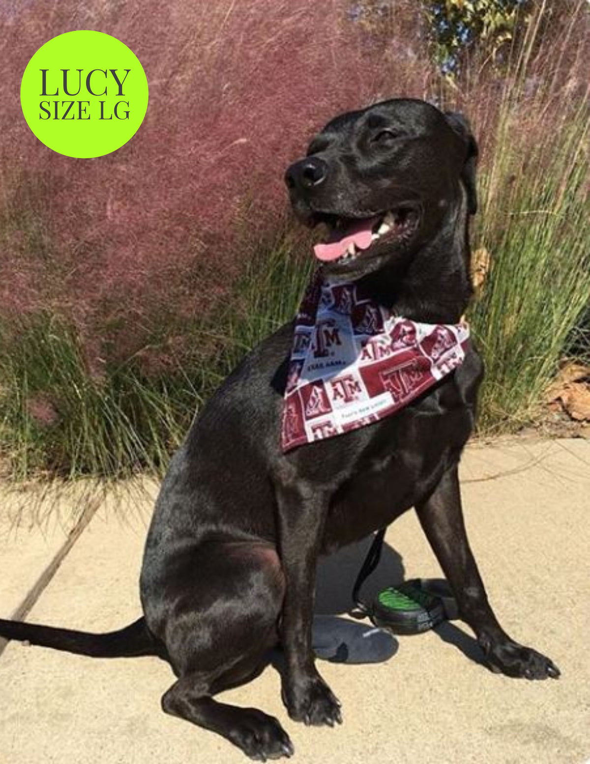 Spider Webs - Slip On Pet Bandana
