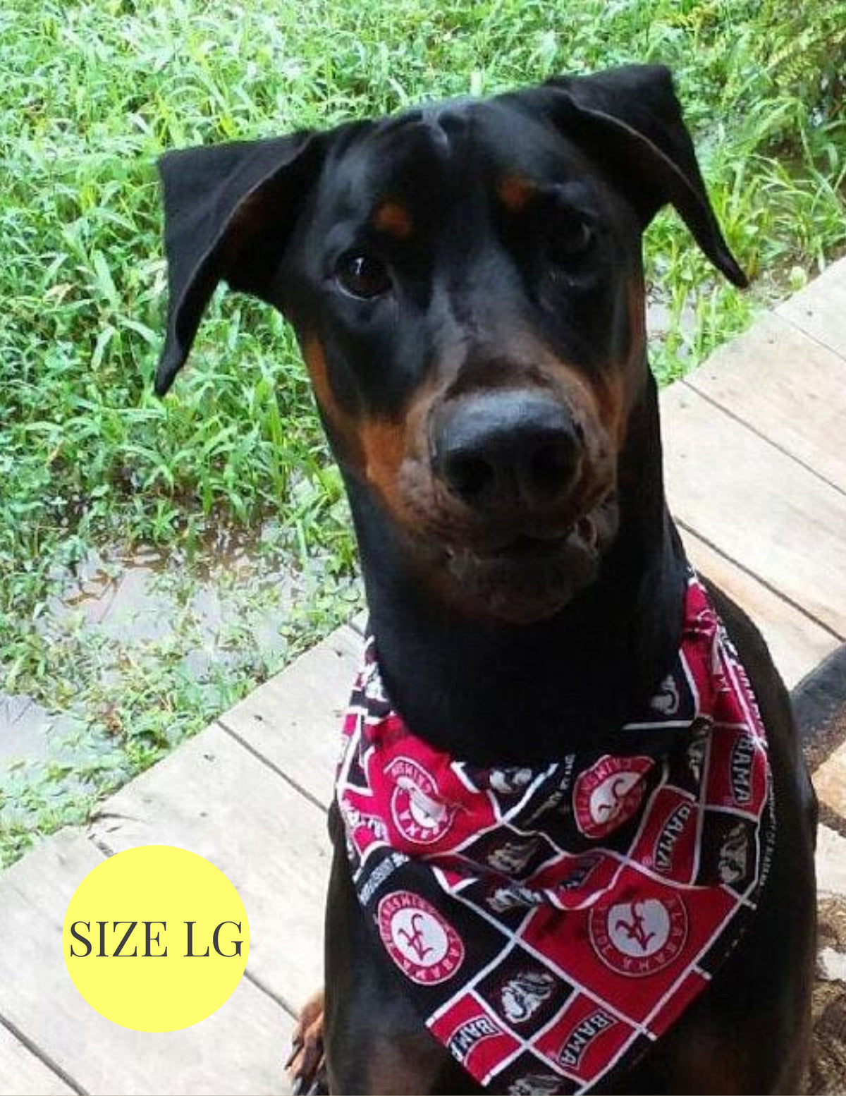 Gryffindor House - Slip On Pet Bandana