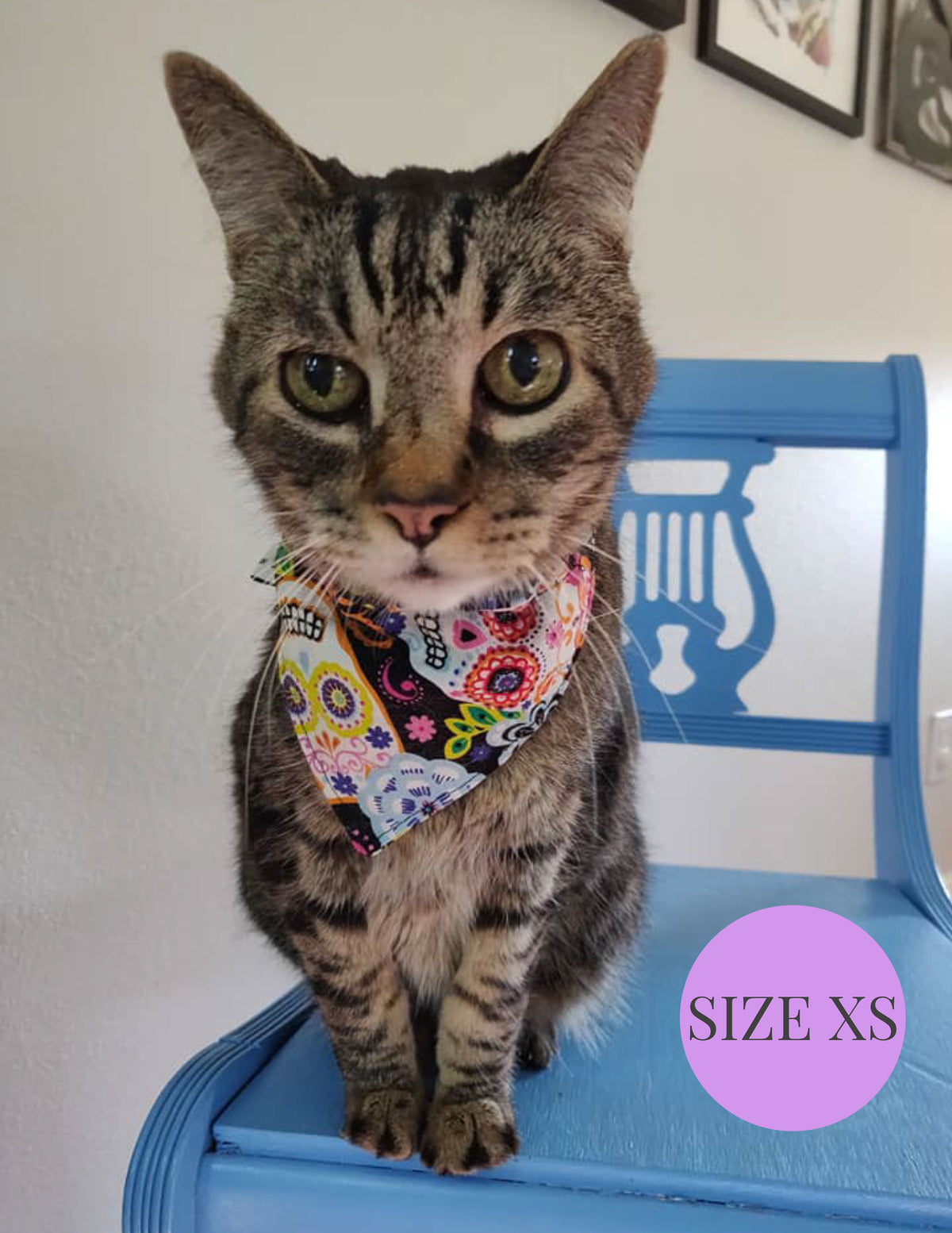 Halloween Dots - Slip On Pet Bandana
