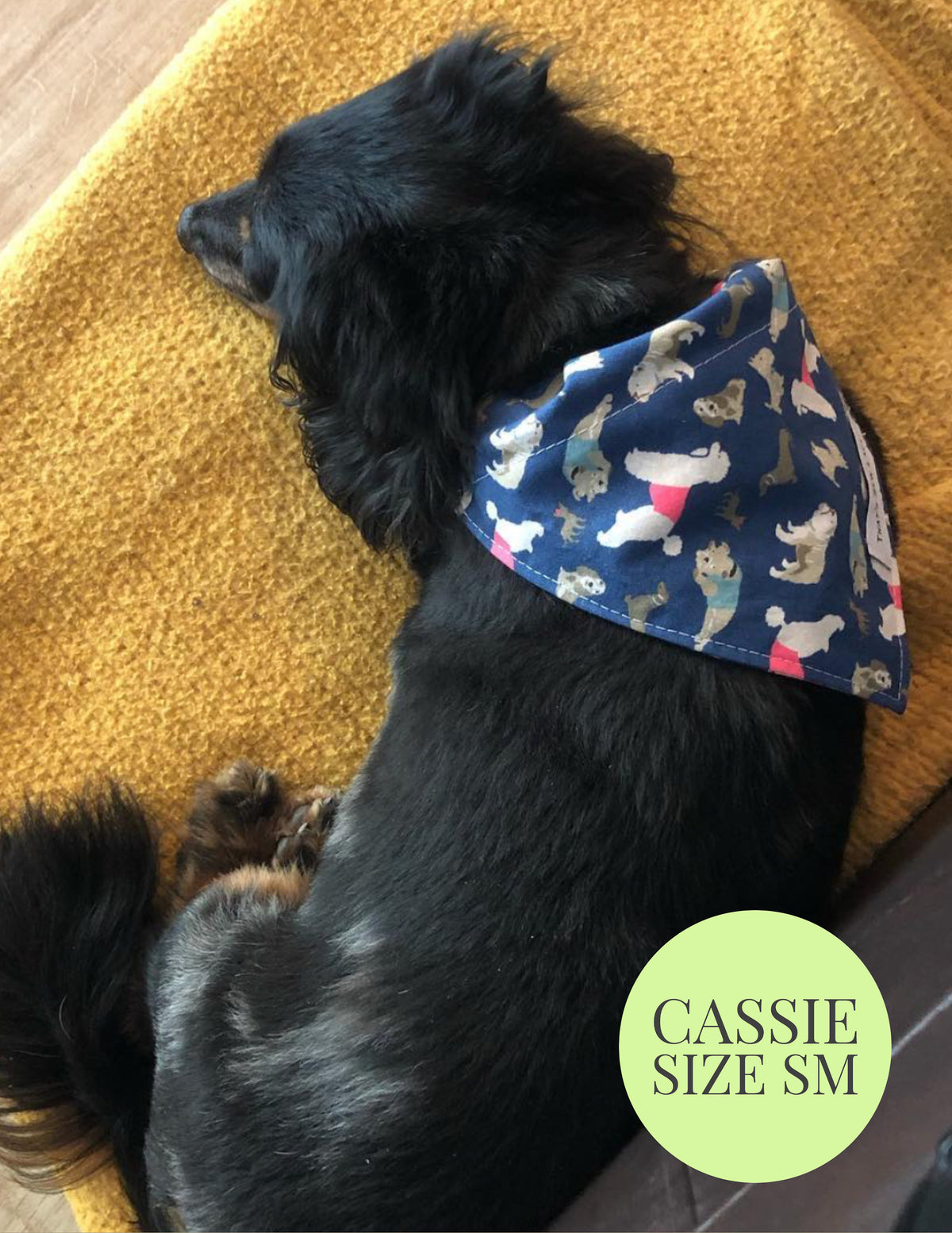 Puppy Love - Slip On Pet Bandana