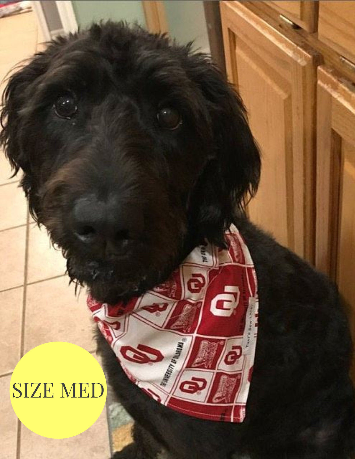 Red Rose - Slip On Pet Bandana