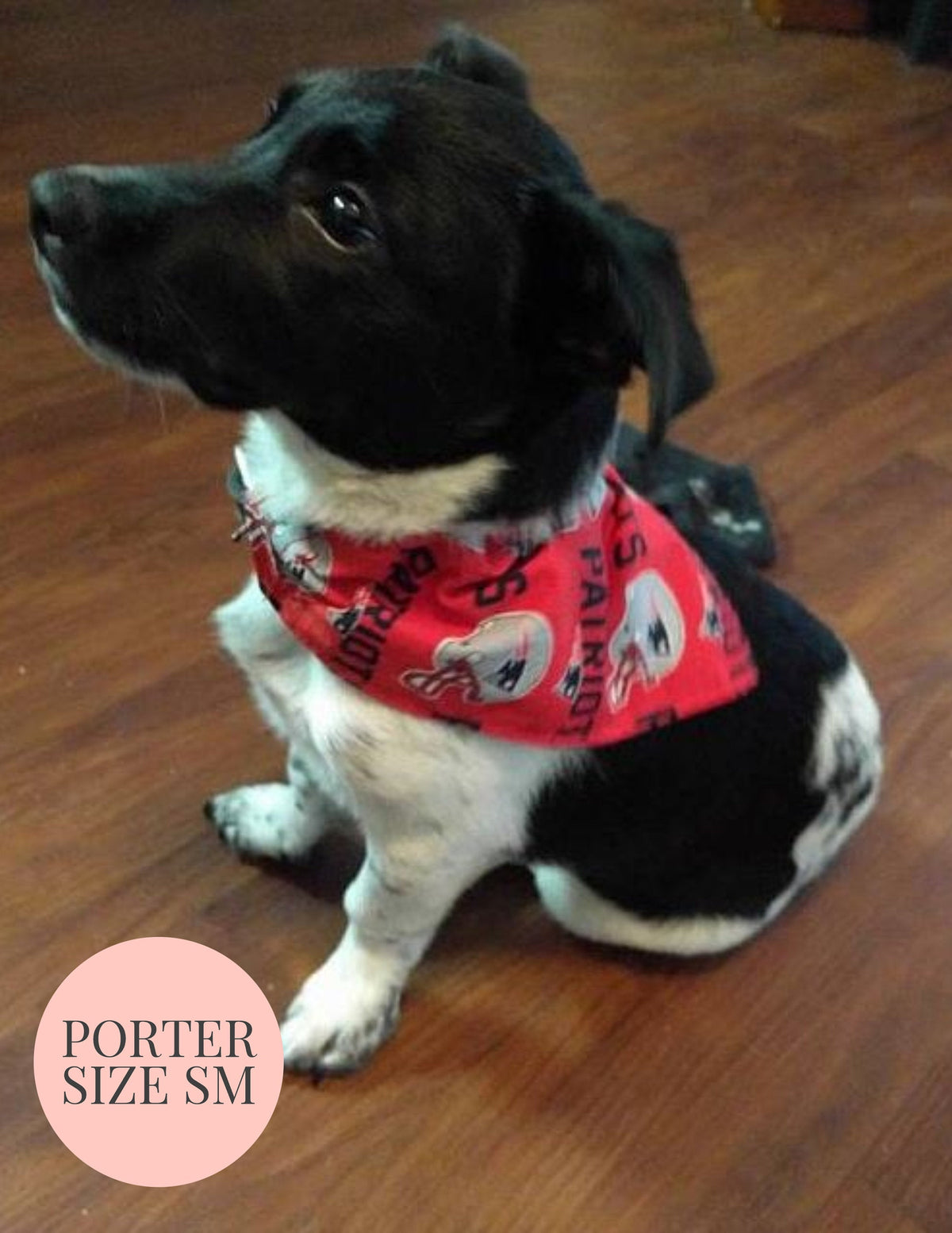 Tropical Flowers - Slip On Pet Bandana