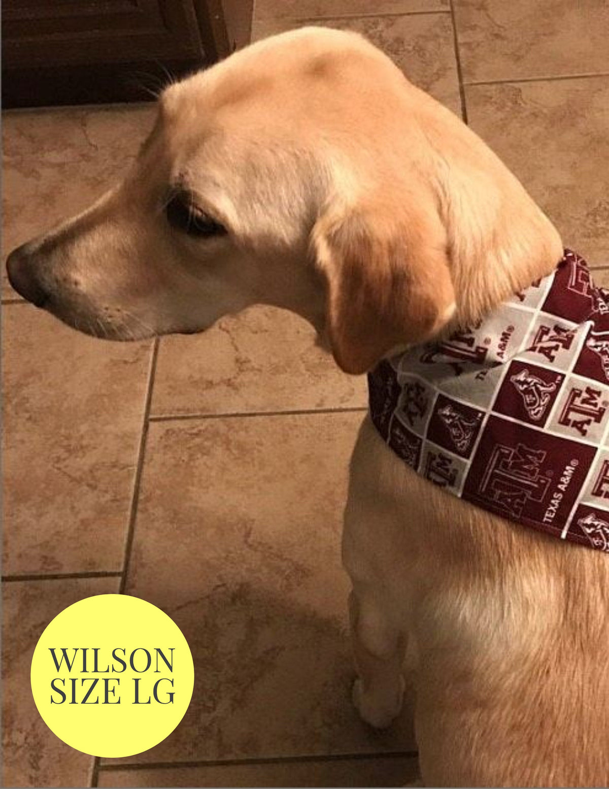 Classic Camouflage - Slip On Pet Bandana