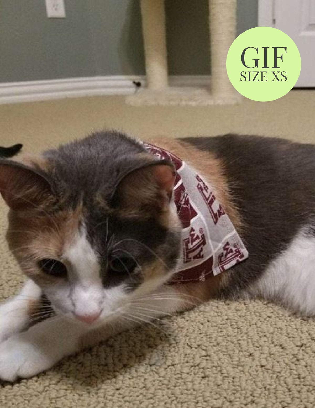 NASCAR Tony Stewart 14 - Slip On Pet Bandana