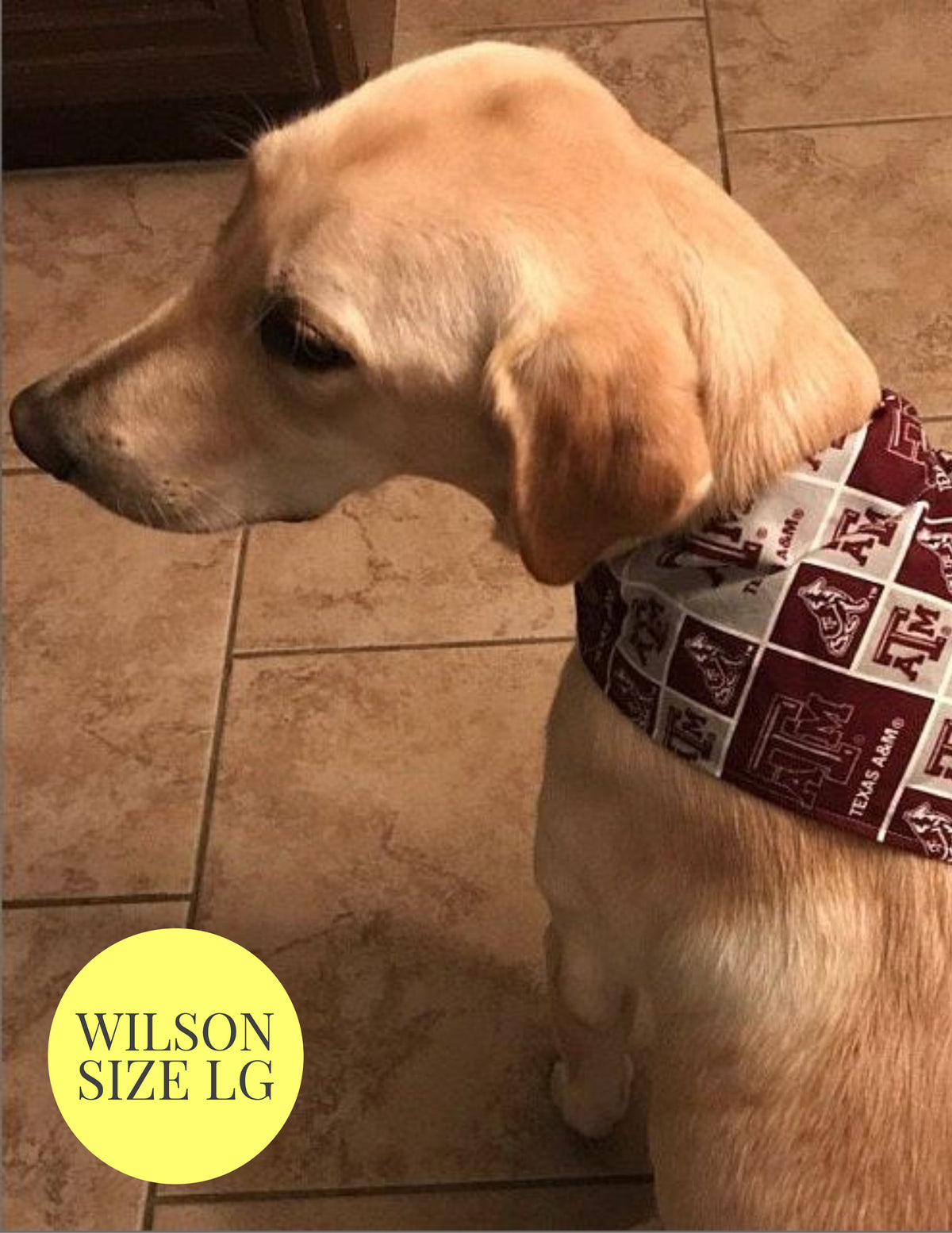 Pineapple - Slip On Pet Bandana