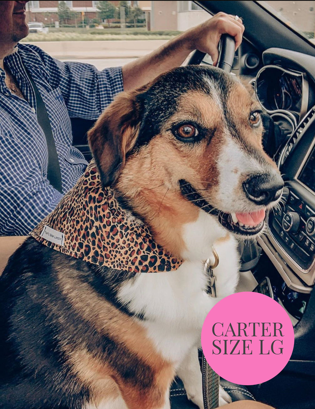 Watermelon Slices - Slip On Pet Bandana