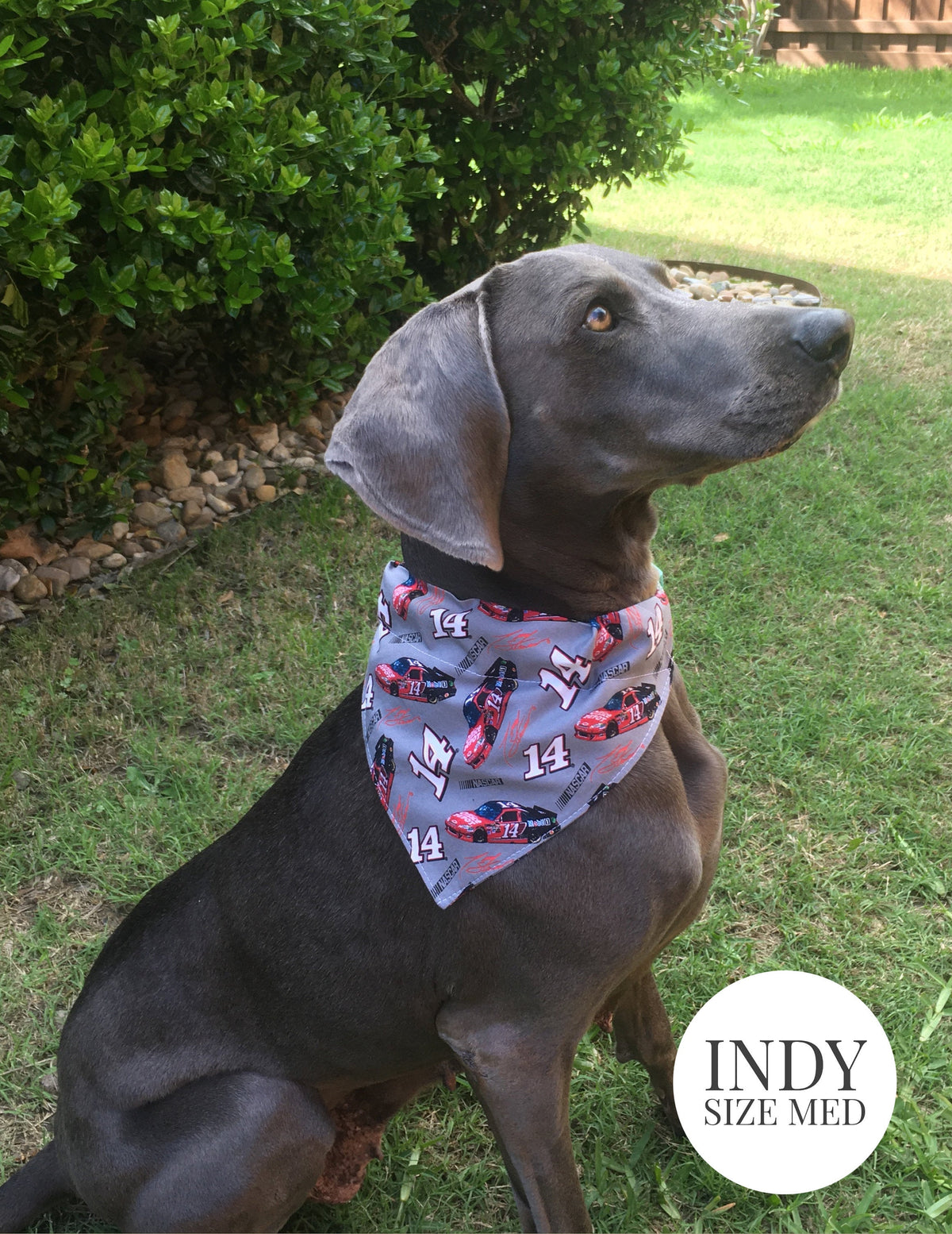 Green Berries - Slip On Pet Bandana